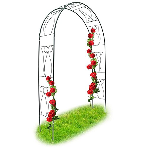 BAKAJI Arco da Giardino Supporto per Rose Piante Rampicanti in Metallo 153 x 35 x 233H cm Colore Verde Scuro