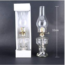GCMJ Stufa Kerosene, Ultra Pure Lamp Lanterne con Manopola Dimmer Antiquariato Senza Fumo Inodore Lampada Campeggio (Color : Blue) 3
