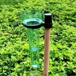 Pluviometro e porta pluviometro in plastica, da esterni, per giardino, orto, verde chiaro 5